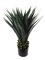 Set of 2 Artificial Agave Plants - 36-Inch Faux Agave with 50 Leaves Each in Decorative Pots - Perfect for Home, Office & Outdoor Decor, Floral Home by Artificial Flowers